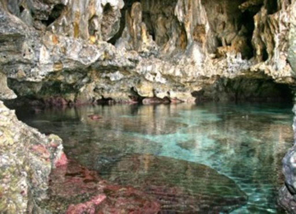 Scenic Matavai Resort Niue Tamakautoga Εξωτερικό φωτογραφία